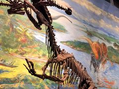 -自贡恐龙博物馆