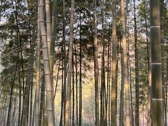 -陶祖圣境风景区