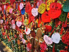 -西双版纳原始森林公园