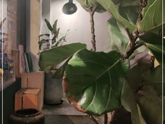 -Apollo·西班牙小酒馆(安福路店)