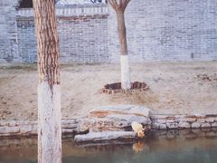 -春风习习