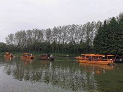 -溱湖国家湿地公园