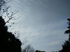 -赭山公园