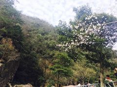 -东天目山风景区