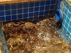 -焰江山海鲜牛排烤肉自助(锦华万达二星店)