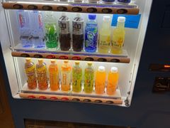 -苏州金鸡湖文博诺富特酒店