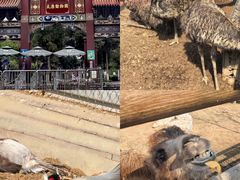 -太原动物园