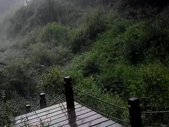 -苏木山森林公园