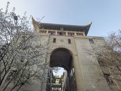 -武汉大学-樱园