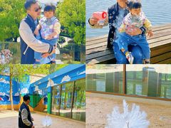 -宁波九龙湖开元度假村