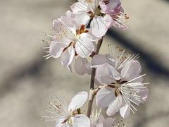 -鹫峰国家森林公园