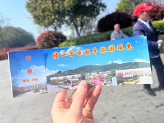 -巢湖姥山岛