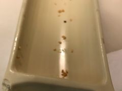 -绿茶餐厅(同成街华联店)