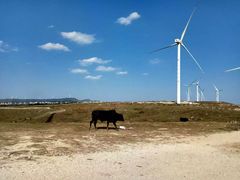 -贵州云顶草原民族风情园