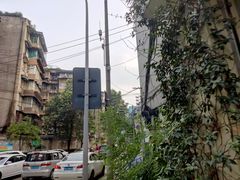 -邓氏兔头