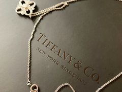 -Tiffany & Co.蒂芙尼
(天津万象城店)