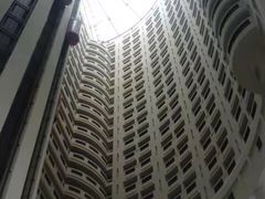 -山东大厦