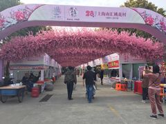 -南汇桃花村