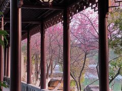 -八大山人梅湖景区