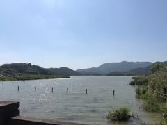 -聚源号(鸣鹤古镇店)