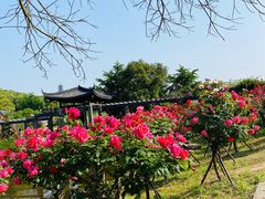 -龙寺生态园