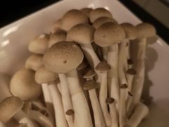 -一席地·本地鸡窝·杭帮鸡火锅(萧山银隆百货店)