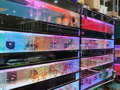 -双季花艺园艺市场(浦东店)