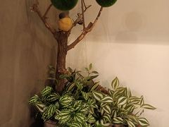 -湘当爱·鲜煮现炒(松岗立业路店)