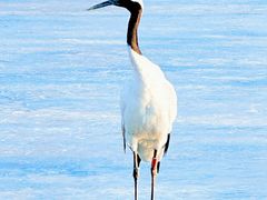 -沈阳森林动物园
