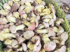 -抚仙湖野生菌石锅鱼(腾冲总店)