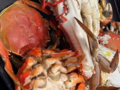 东港飞蟹-乔哥铭洋海鲜自助(皇城恒隆广场店)