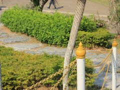 android_upload_pic-七珍佛山