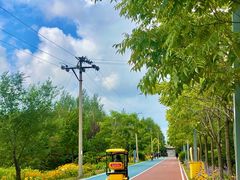 -绥化市森林植物园