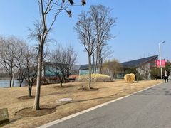 -上海长兴岛郊野公园