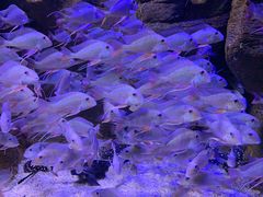 -成都浩海立方海洋公园