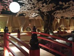 -蓝鲸湾汤泉(包河店)