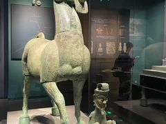 -广西壮族自治区博物馆