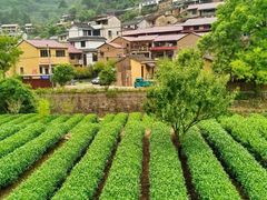 -十九峰景区-倒脱靴