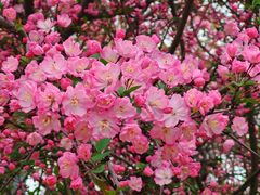 -杭州师范大学(下沙校区)