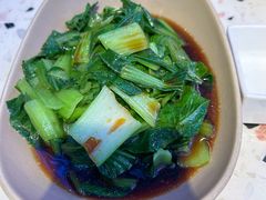-MR鹅外