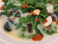 -金苑酒家·客家菜·广东老字号(万象店)