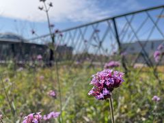 -宁波儿童公园(鄞州区)