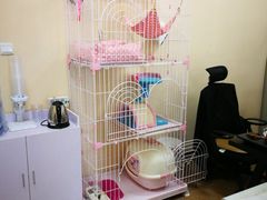 -青春加萌照相馆