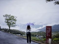 -江南天池