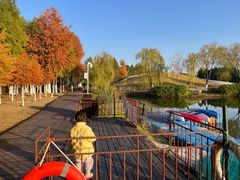 -合肥滨湖国家森林公园