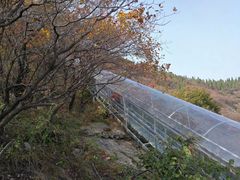 -博山九龙峪风景区