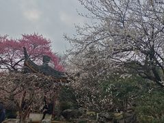 -杭州植物园