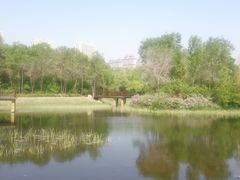 -群力丁香公园