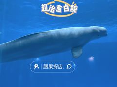 -石林冰雪海洋世界