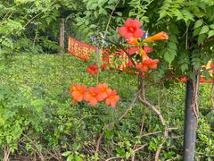 -嘉北郊野公园